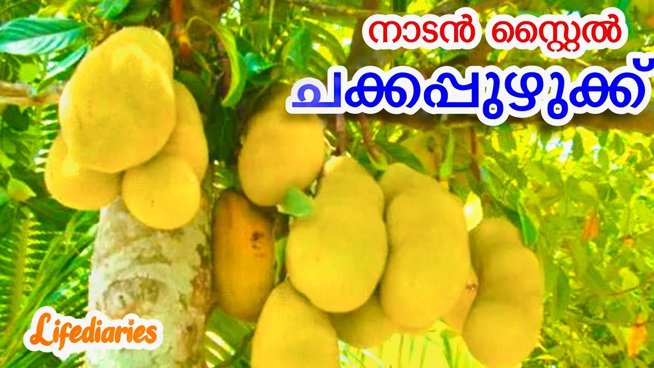 ചക്കപ്പുഴുക്ക് | നാടൻ സ്റ്റൈൽ Jackfruit Puzhukku Recipe | Easy Kerala Traditional Dish