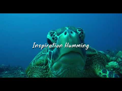 Nasheed Inspiration Humming