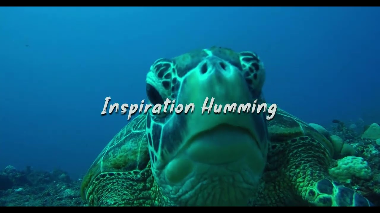 Nasheed - Inspiration Humming
