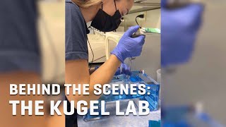Behind the Scenes: The Kugel Lab