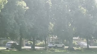 Here's tips to prevent some allergies in Sacramento