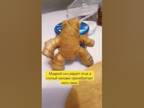 Глупый сын - беда #родители #уважение #позор #сынок #доченька #дом # ...