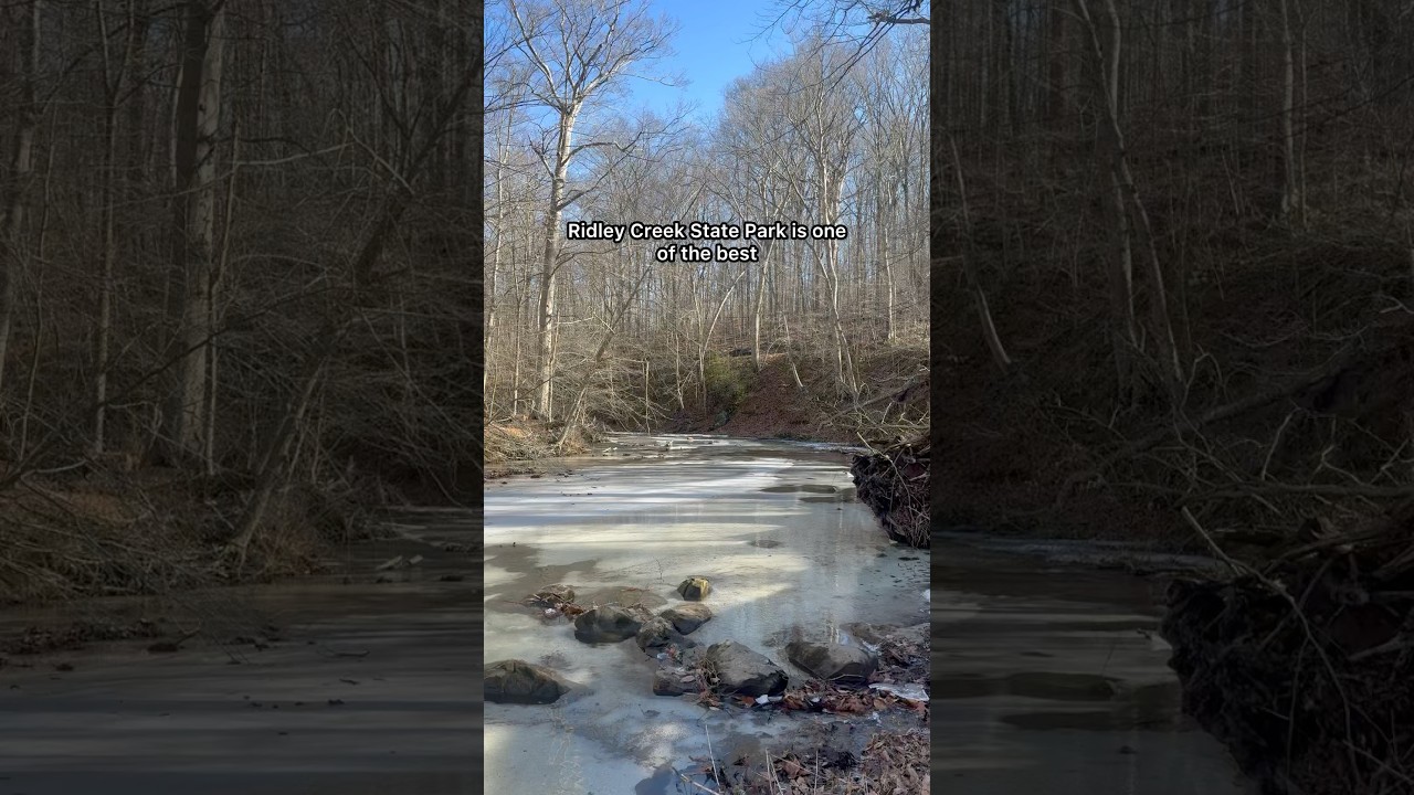 🌳 Ridley Creek State Park, PA: What to Know Before You Go