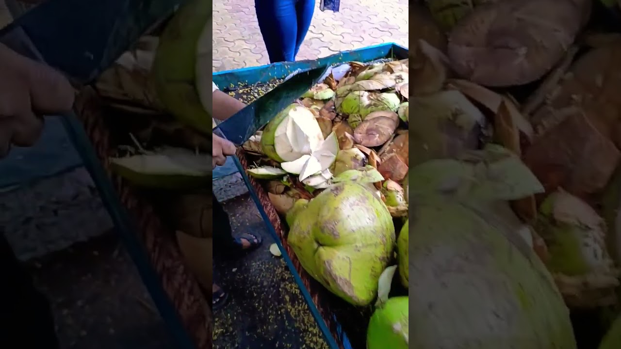 coconut water good for healthy 💪👍👌gym shorts funnyvideo drink coconut coconutwater 