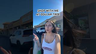 SHOP WITH ME AT DOLLAR TREE #dollartree #dollartreefinds #dollartreeshopwithme #newatdollartree