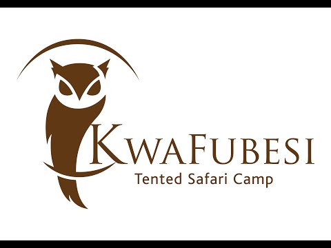 Kwafubesi Tented Safari Camp An Intimate Escape In The Heart Of The Mabula Wilderness 