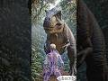 What If You Traveled Back to the Dinosaur Age?#Dinosaurs#TRex#Jurassic#Skeleton