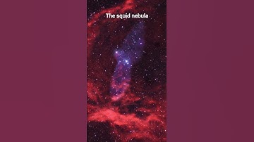 i Captured the squid nebula 🦑🐙