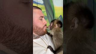 Stackz Compilation Pt. 92 (Disney Prince, Stackz Ventura, Dr. DoLittle)