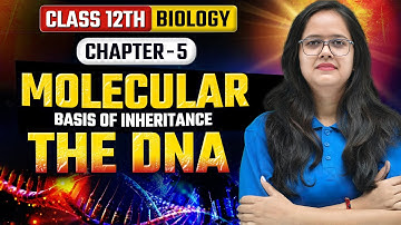 Class 12th Biology Chapter 5 | Molecular Basis of Inheritance | The Dna | UP Board Exam 2026