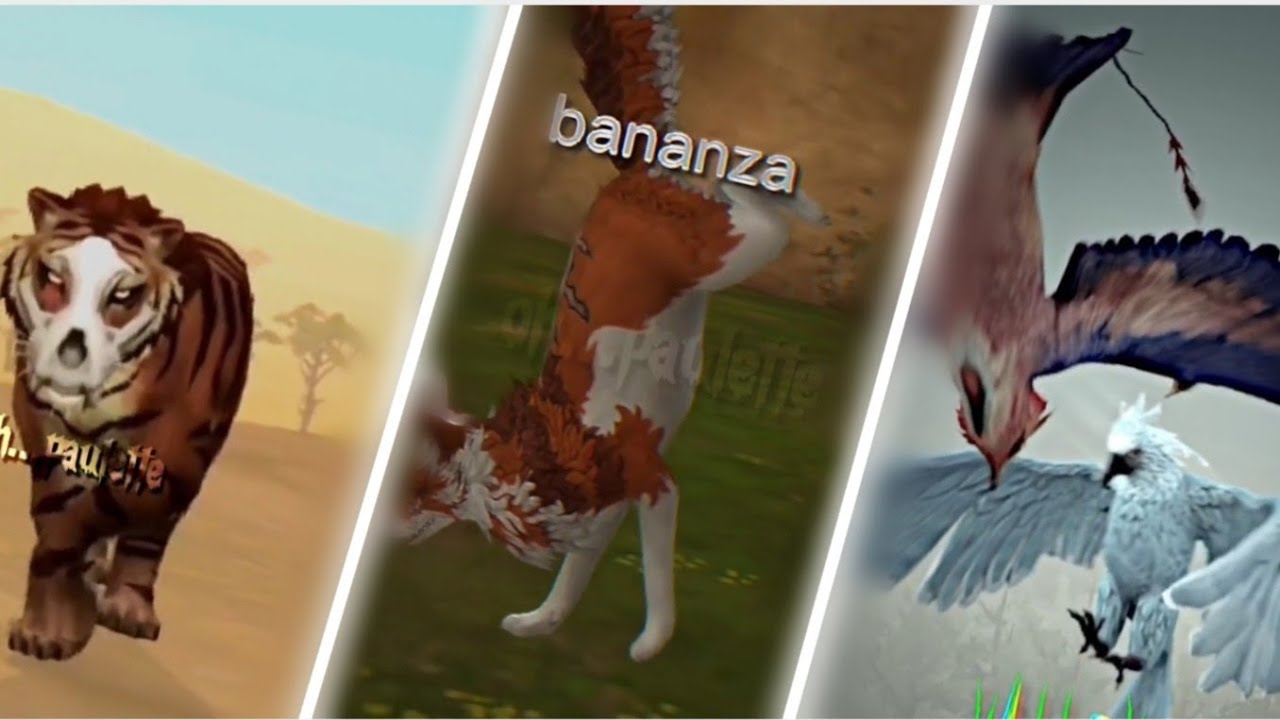 Wildcraft TikTok compilation 4 YouTube