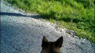 mila kantaa hihnaa 20120523_002.mp4