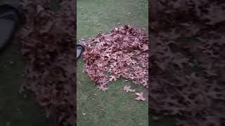 Leaf raking hack.