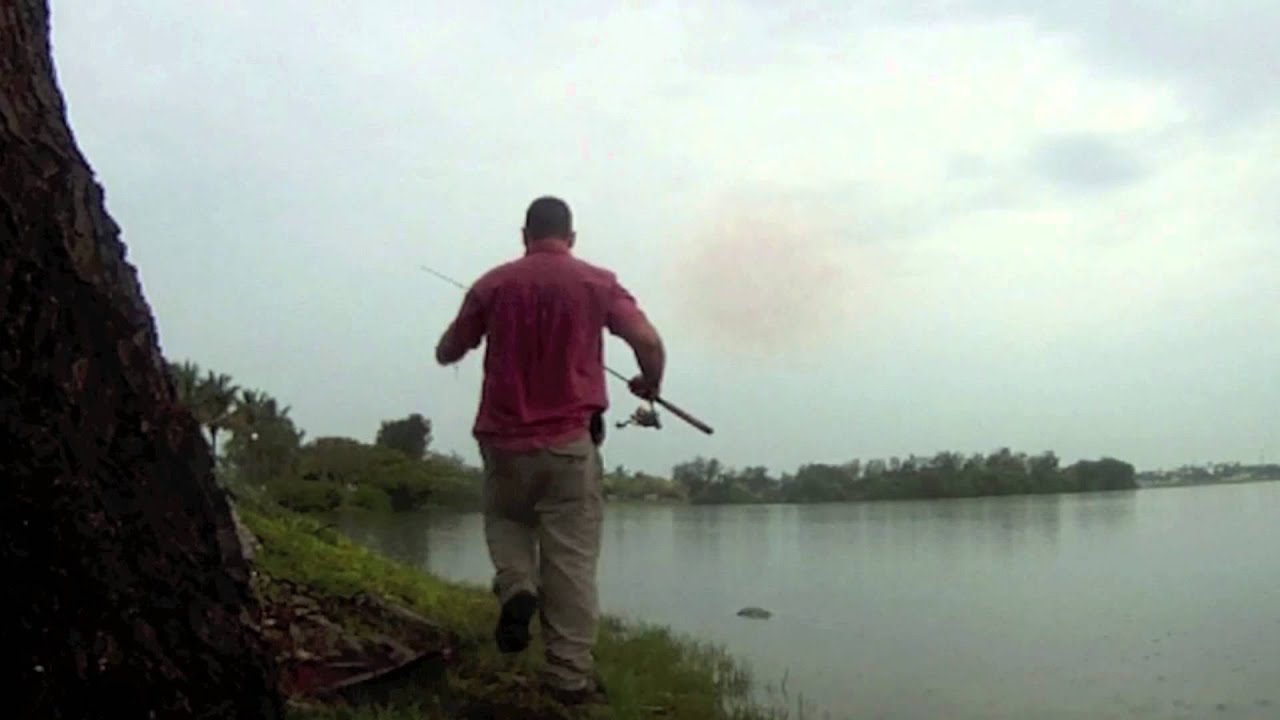 babaytarpon jimyjigs