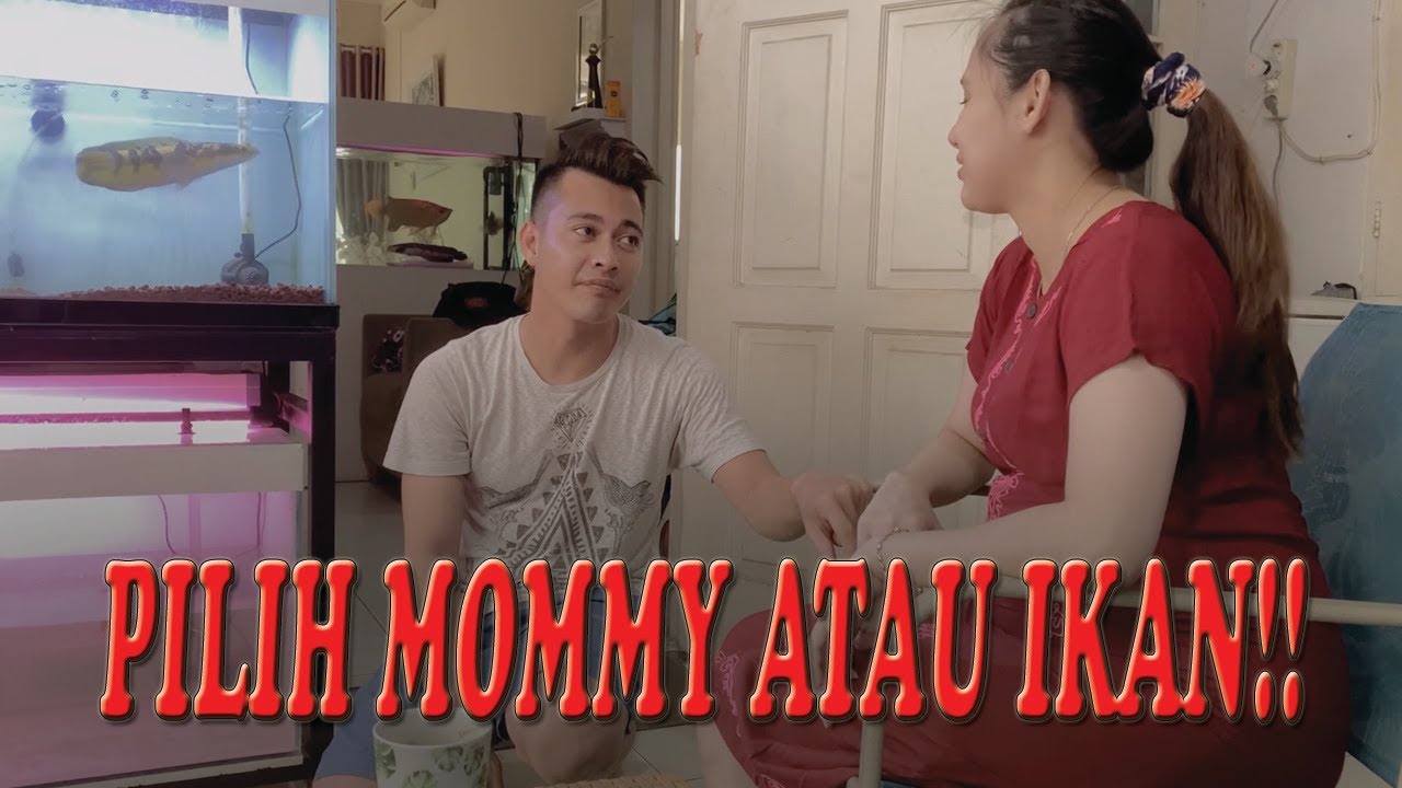 PILIH JALANJALAN SAMA MOMMY ATAU NGURUSIN IKAN‼️