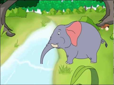 Video Chuyện kể bé nghe tập 8 - Bài học đầu tiên của gấu con - youtube