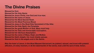 Palm Sunday of the Lord’s Passion