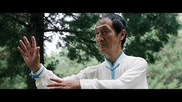 Daithi - Perfect Harmony (Official Video)