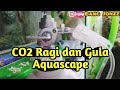 CO2 Murah Meriah RAGUL (Ragi & Gula) Aquascape| Vlog#42