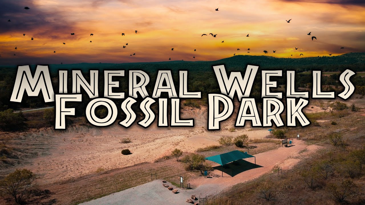 FREE Fossil Hunting! - bring a bucket!!! 🪣 👀