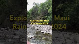 Exploring The Maui Rain Forest 2024 #IAOvalley #hawaii #maui #beach