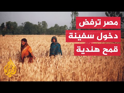 مصر ترفض دخول سفينة قمح هندية لمخالفتها شروط الحجر الزراعي