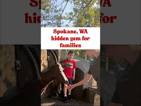 Thumbnail for Kylee & Steven - Short Term Rental Experts