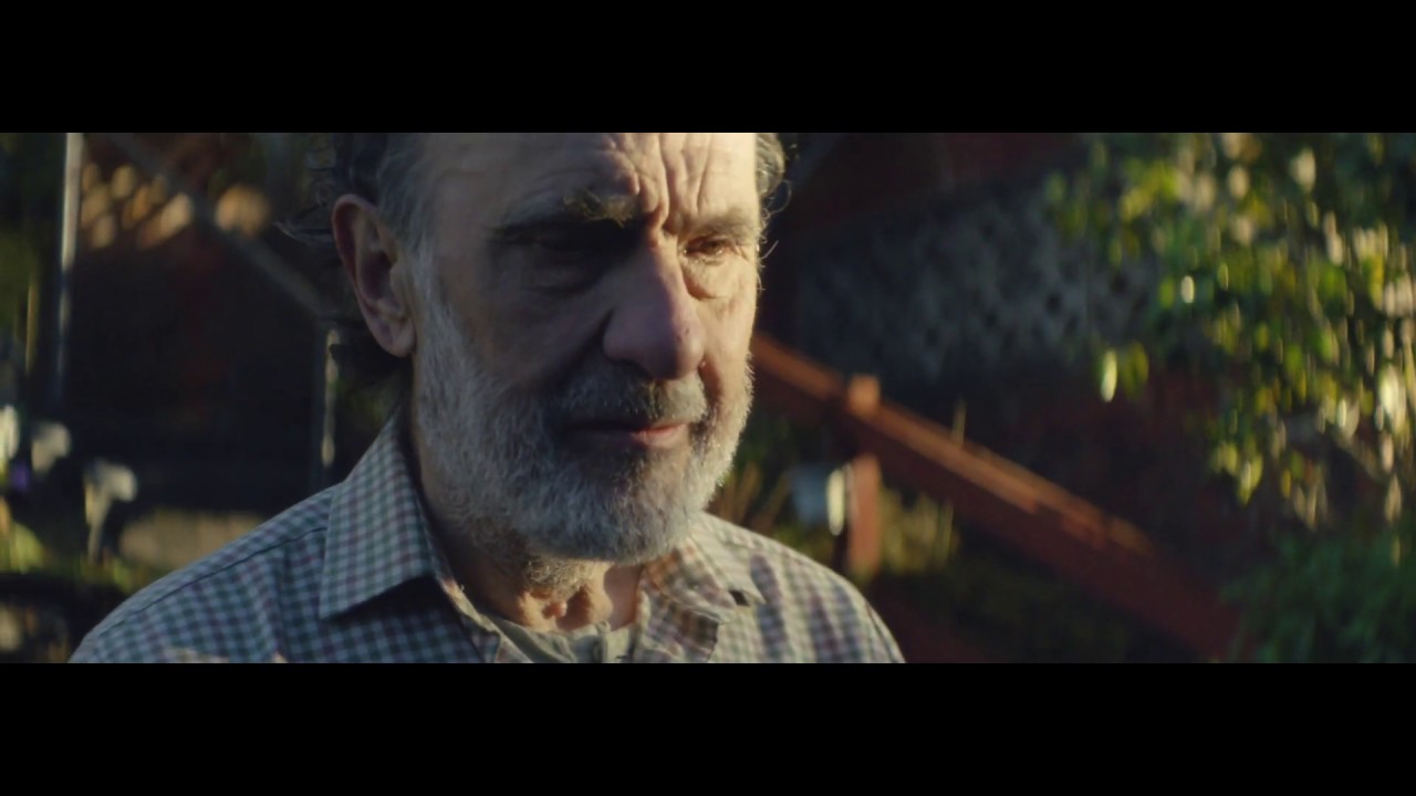 Cadbury Dairy Milk | Fence 30"