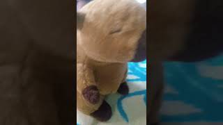 papa cerdito valiente bebe yort