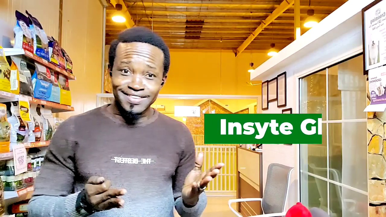 Welcome To Insyte Gh