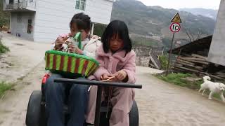 吃香椿季节到了,又是周末带上孩子和狗狗们去摘香椿,很热闹