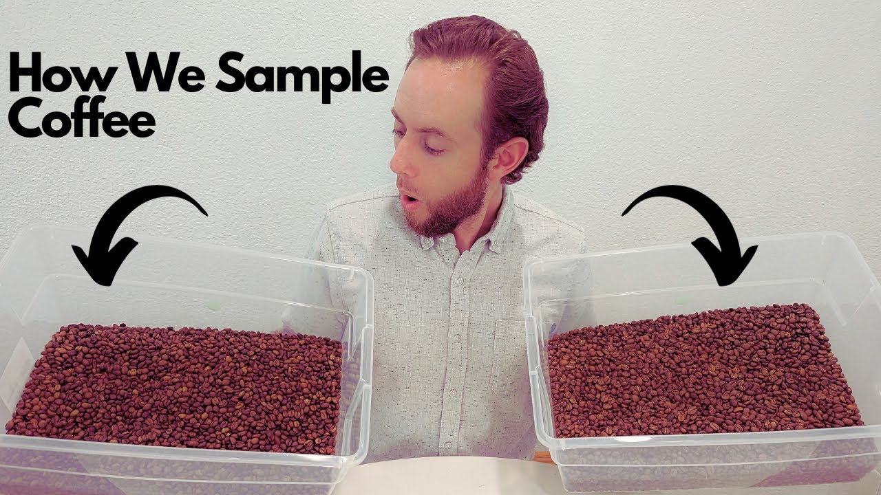 Unique Way Of Sampling New Coffee - YouTube