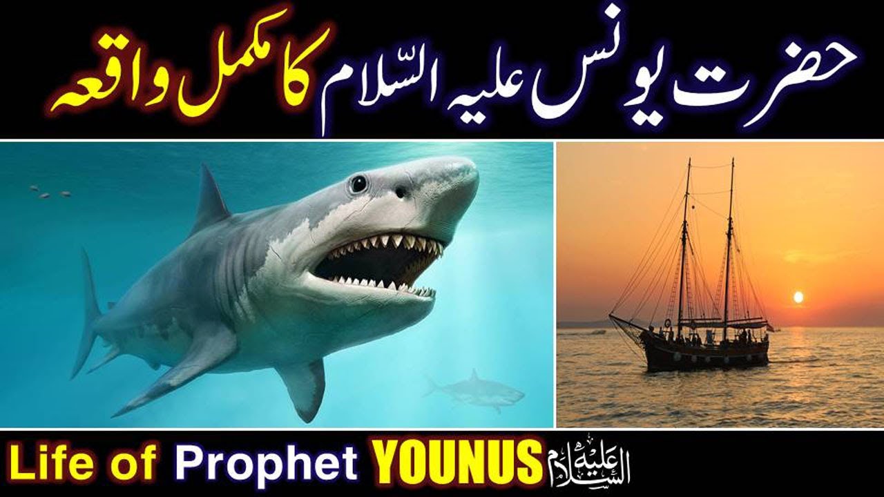 Hazrat Younus (As) Ka Waqia | life of Prophet Younus | All Life Events In Detail | Qisas ul Ambiya