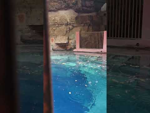 The blue water and fish of Bhimkund