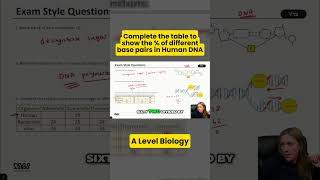 Complete The Dna Base Pairs Table A Level Biology