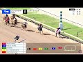 8va Carrera de Gulfstream Park | Sabado 13 de Junio de 2026