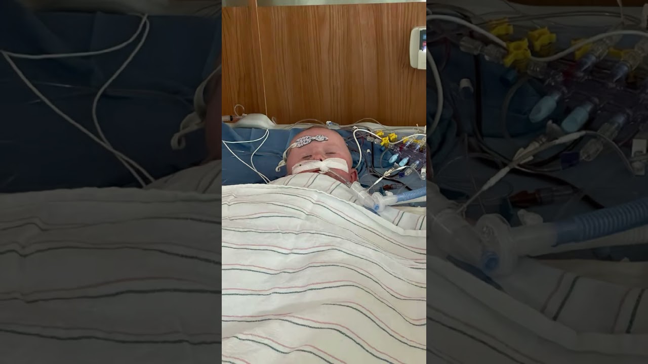 Strong heart warrior fighting with love 