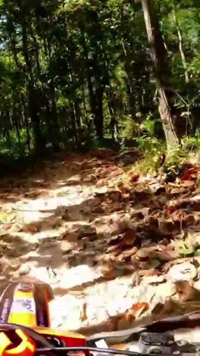 Free Bird#hardenduro #enduro #dirtbike #offroad #viral #thailand YouTube