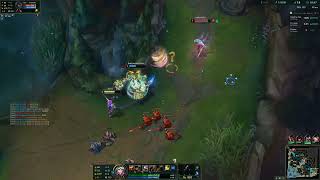 xd hex flesh