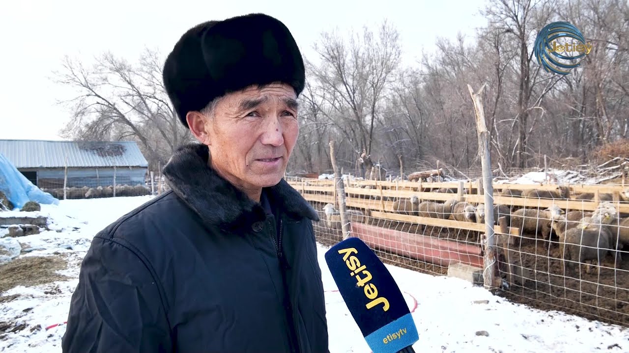 ҚОРА ТОЛЫ ҚОЙ, ТАБЫСҚА ТОЛЫ ОЙ / АGRO АЙМАҚ / 24.12.2025