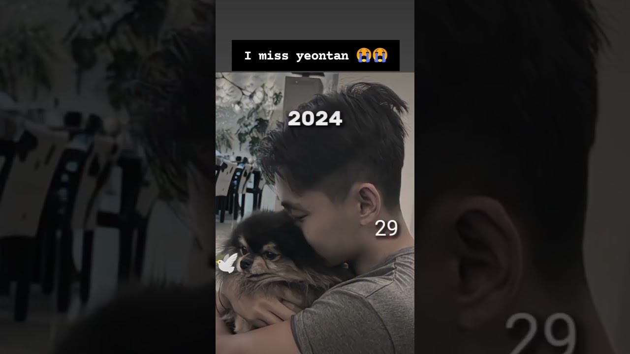 kim teahyung dog yeontan death 😭😭😭😭😭😭I miss you yeontan 😭😭