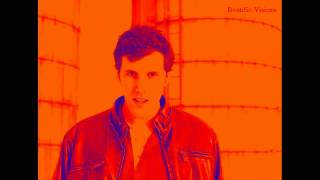 Beatific Visions - Beatific Visions