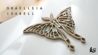 イザベラミズアオ+アフリカの蛾　標本箱付き　説明欄必読 Wooden Graellsia Isabell【DIY】欧州で一番美しい蛾 イザベラミズアオ