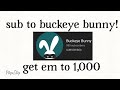 go sub to Buckeye bunny!