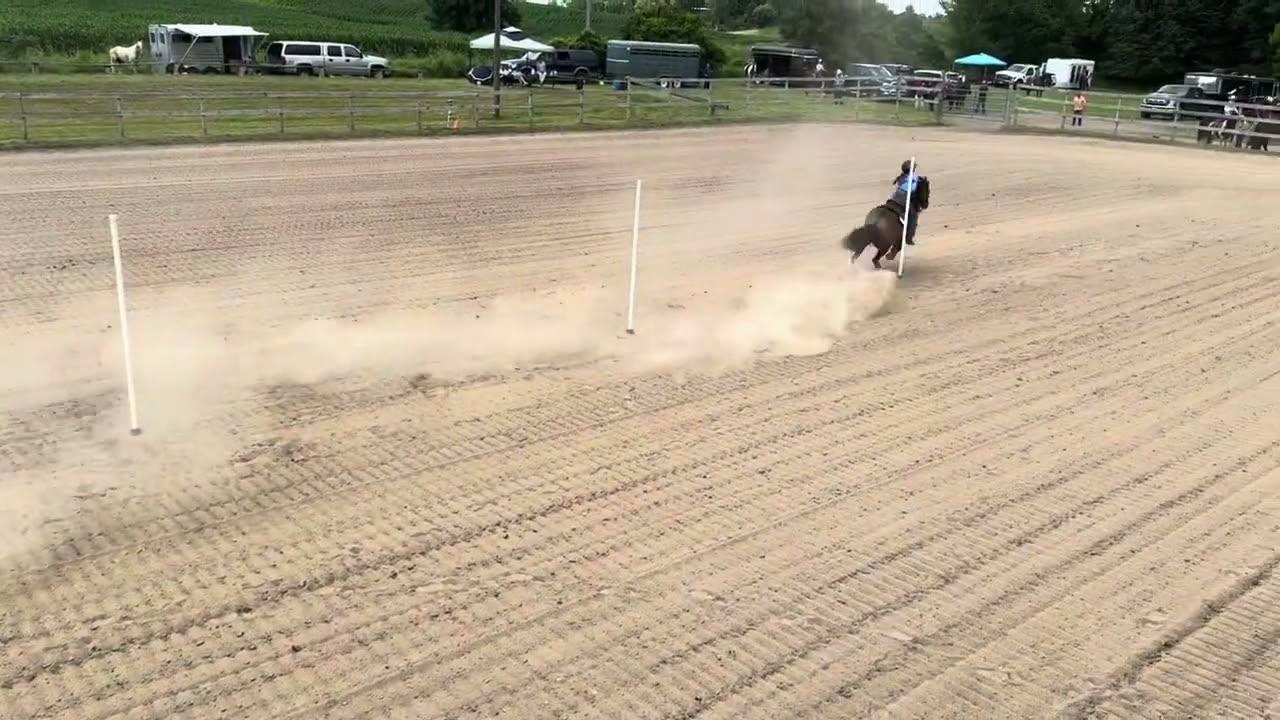 Poles at the July Showdeo