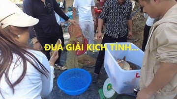 KHAI TRƯƠNG HỒ CHUYÊN CHÉP - ĐUA GIẢI KỊCH TÍNH - PHÚC HÀ FISHING