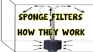 SPONGE FILTERS│HOW THEY WORK