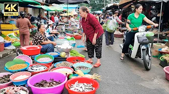 Cambodia’s Biggest Local Market Tour – Steung Meanchey Fresh Fish, Meat & Street Snacks!