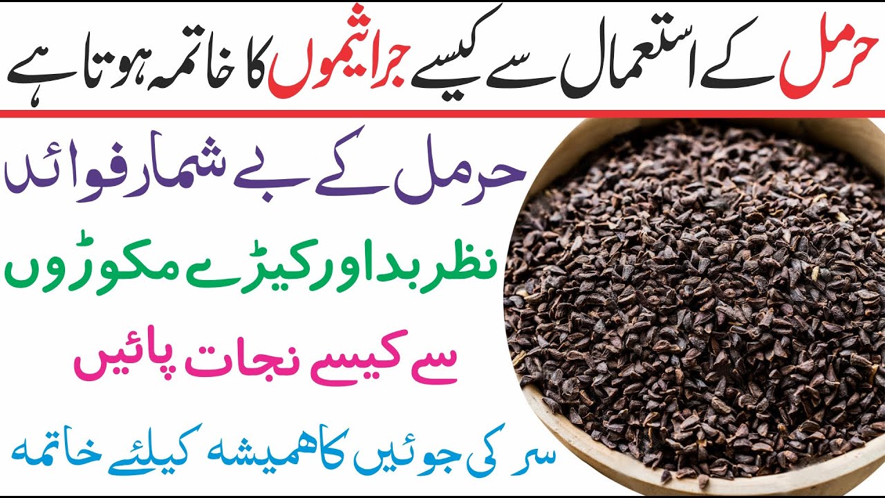 Harmal ki Dhoni Fayde | Peganum Harmala Seeds Benefits | حرمل کے فوائد