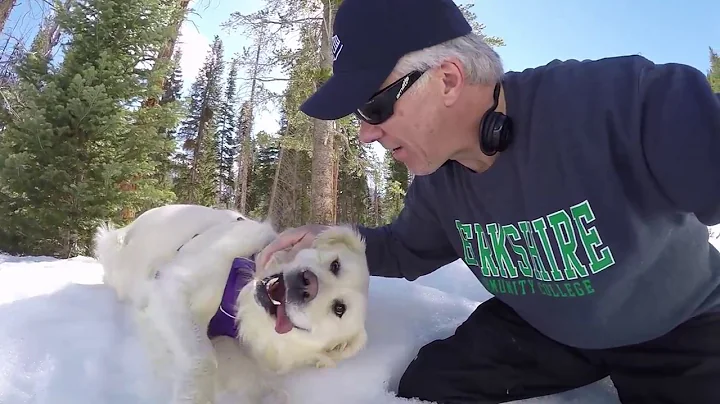 Watch the video about Cat and dog chase with a 3 axis camera stabilizer